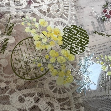 00076燦星勿忘我Star Forget-me-not