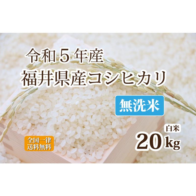 令和５年産 無洗米福井県産コシヒカリ 20kg 白米 安い 5kg×4 単一原料米 送料無料