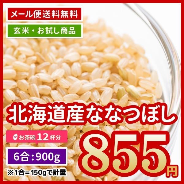 玄米 送料無料 ポイント消化 米 お米 北海道産 ななつぼし 900g （450g×2） 6合 お試し 令和5年産 ※ゆうパケット配送のため日時指定・代引不可