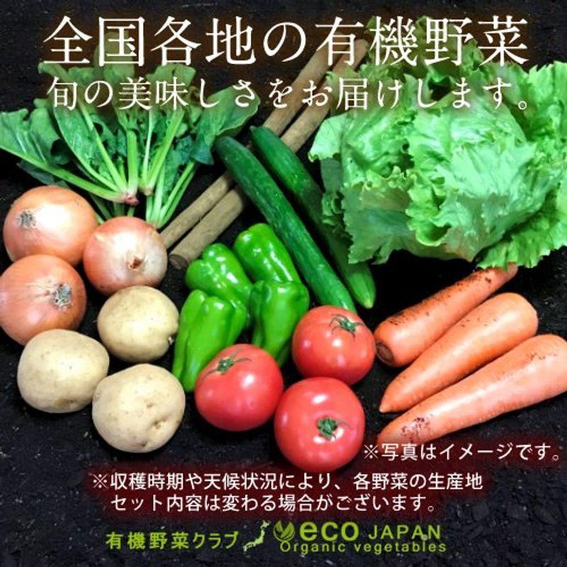 日本の有機野菜セット［9種類］季節の旬 有機農法 野菜 詰め合わせ 日本全国ご当地生産者 有機栽培 ベジタブル スムージー 野菜材料