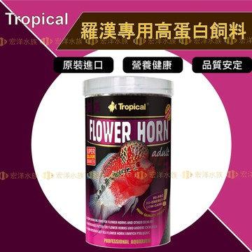 Tropical 德比克【羅漢專用高蛋白飼料】羅漢爆頭專用飼料◆增豔高蛋白質配方（羅漢飼料 魚飼料 高蛋白質魚飼料〝宏洋