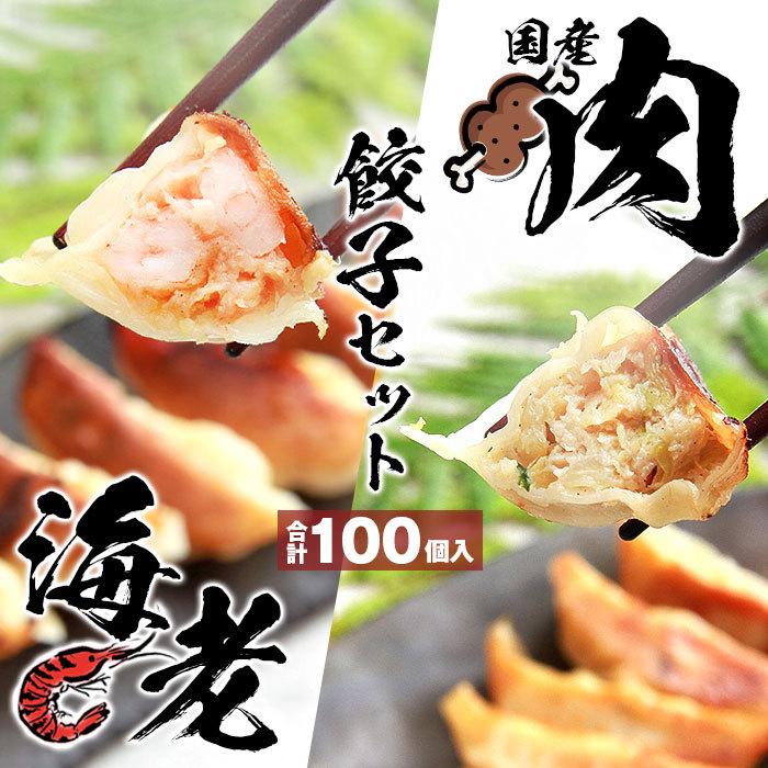 餃子 ぎょうざ ギョウザ ギョーザ gyouza 100個 国産 国産豚肉 国産野菜 豚肉 海老餃子 海老 えび エビ 中華 食品 冷凍 冷凍餃子 大容量 大量 美味しい ニンニク