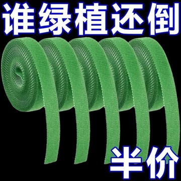 🔥臺灣出貨🔥魔術貼綠植紮帶捆綁綠色粘扣帶捆綁不傷支撐固定熱植綁帶