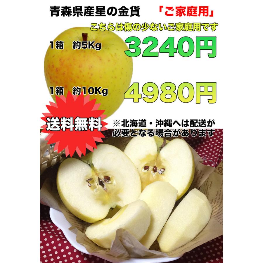 りんご 5Kg ご家庭用 送料無料 青森県産 星の金貨 5kg 送料無料 青森 りんご 5Kg ご家庭用 お試し