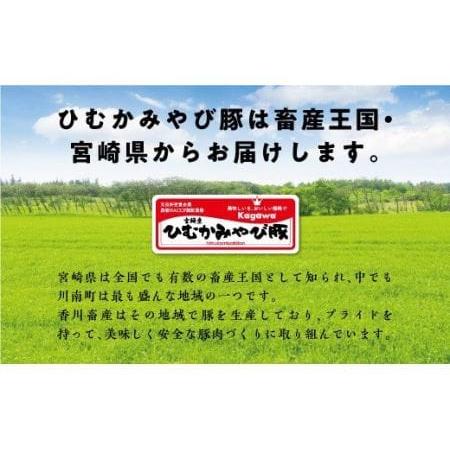 ふるさと納税 第56回天皇杯受賞企業「香川畜産」豚肉食べ比べセット2,200g【肉 豚肉 国産 九州産 宮崎県産 とんかつ 豚しゃぶ 焼肉 バラエティ豚.. 宮崎県川南町