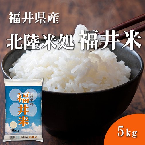 福井精米 令和5年 福井県産  福井米 精米 白米 5kg