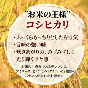 ふるさと納税 米 定期便 8kg 5ヶ月 コシヒカリ 広島県安芸高田市産 4kg×2袋 白米 精米 広島県安芸高田市