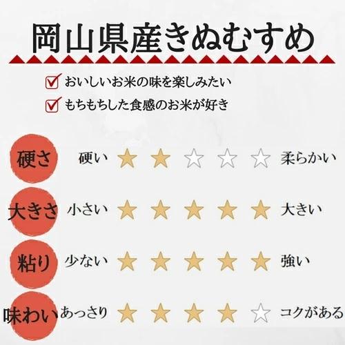 無洗米 5年産 新米 きぬむすめ 10kg (5kg×2袋) 岡山県産 米 送料無料