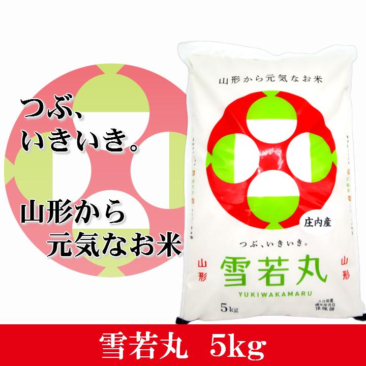 新米 「雪若丸」山形県庄内産 令和5年(2023) 白米 5kg 10月上旬発送