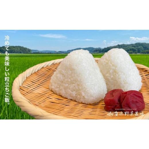 ふるさと納税 石川県 加賀市 農薬・化学肥料不使用「厳選3種食べ比べセット」白米3種各5kg 『有機JAS認証』