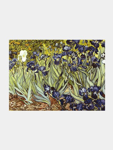 鳶尾花/108片/梵谷