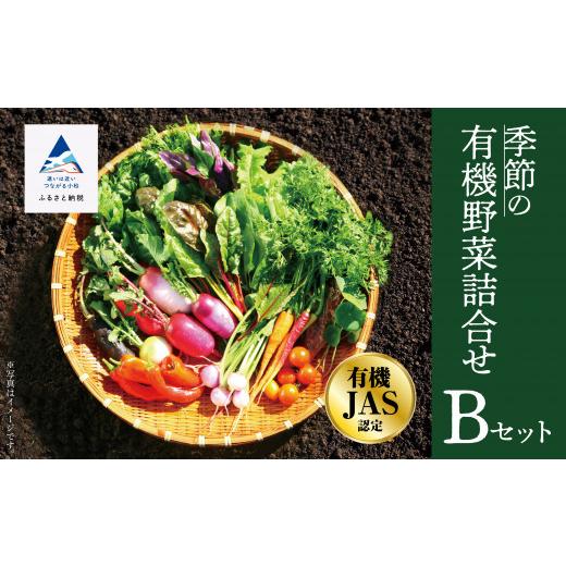 ふるさと納税 石川県 小松市 西田農園　季節の野菜詰合せ　Ｂセット