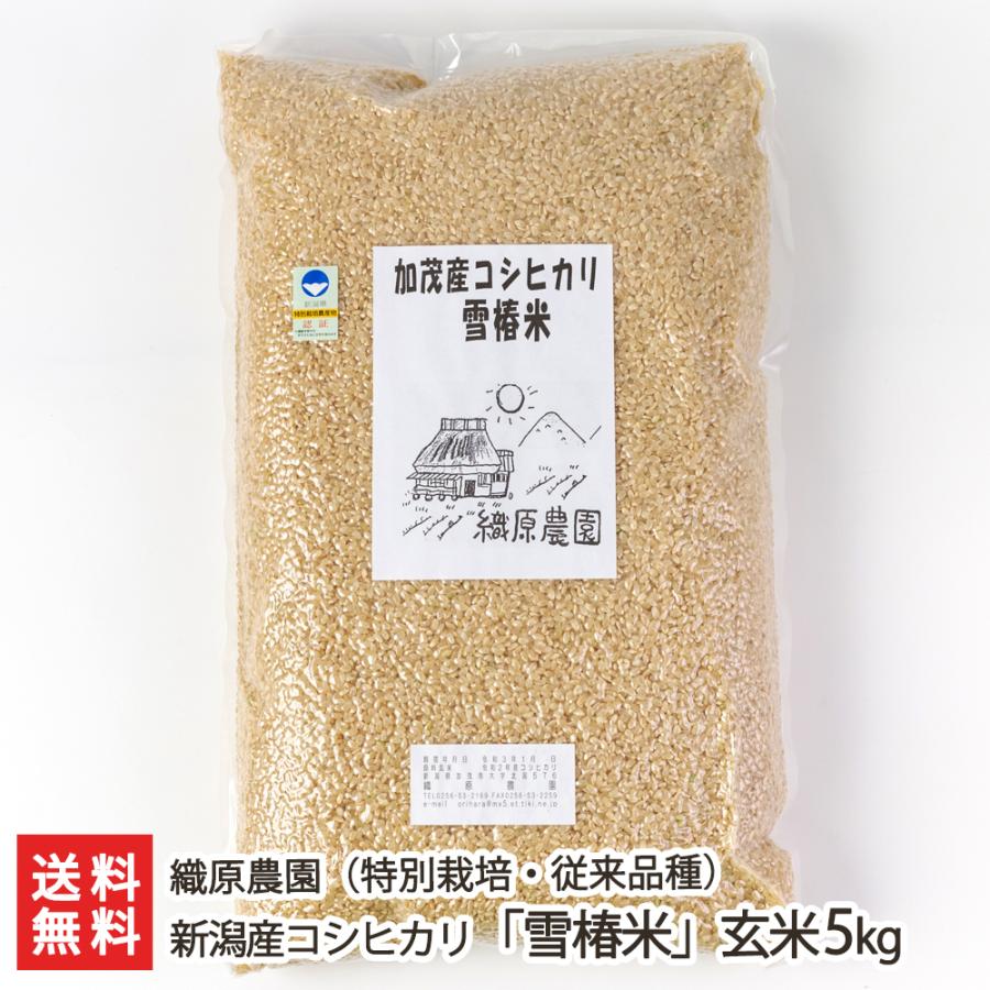 特別栽培米（減農薬・減化学肥料）新潟産コシヒカリ「雪椿米」（従来品種）玄米5kg 織原農園 送料無料