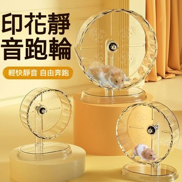 【萌寵家園】精品優選 倉鼠跑輪 超大靜音滾輪 倉鼠滾輪 倉鼠玩具 小寵跑輪 黃金鼠滾輪 老鼠滾輪 倉鼠用品 倉鼠運動跑輪