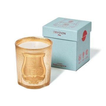 Trudon 限量金典系列 古牆青苔 香氛蠟燭 270g