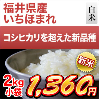 新米 令和5年(2023年)産 福井県産 いちほまれ 白米 2kg 特A評価獲得