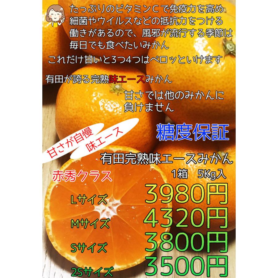 みかん 送料無料 小玉 有田 7.5Kg 和歌山県産 有田 完熟 味エース みかん 赤秀 Sサイズ 7.5kg 贈答用 お歳暮 ギフト 糖度保証