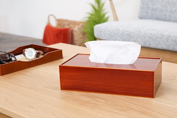 飛驒春慶 福壽漆器店 面紙盒