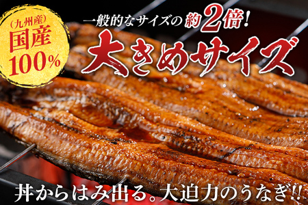 鹿児島県産うなぎ蒲焼き 約400g（約200g×2尾）