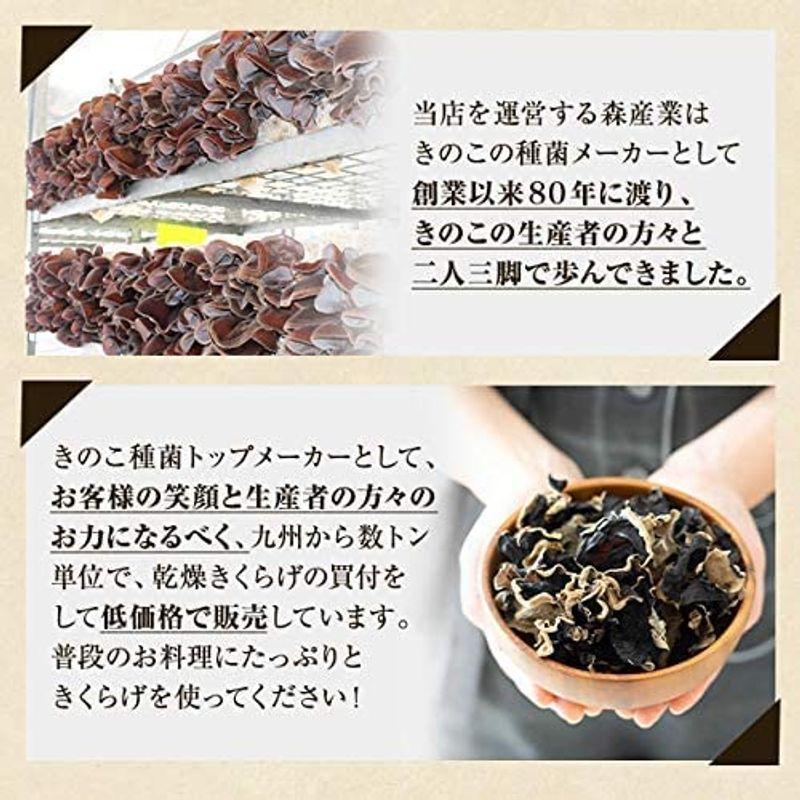 森のきのこ倶楽部 乾燥 きくらげ 300g 国産   マルチ食材   水で簡単に戻る 木耳 肉厚   家庭用   業務用 ギ