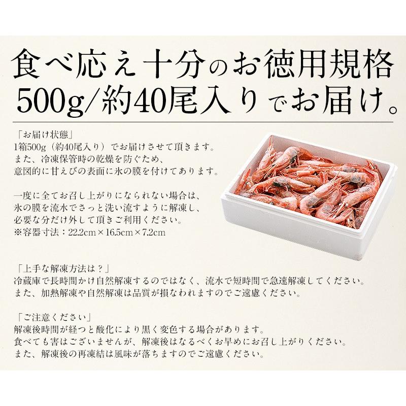 甘エビ 甘えび 子持ち 500g （約40尾入り）刺身用 越前産 甘えび 海老 えび エビ 贈り物 お祝い プレゼント ギフト 冬グルメ 冬ギフト