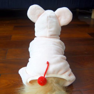 寵物狗狗泰迪衣服秋冬裝法斗小狗小型犬貓咪柯基比熊博美衣服加厚