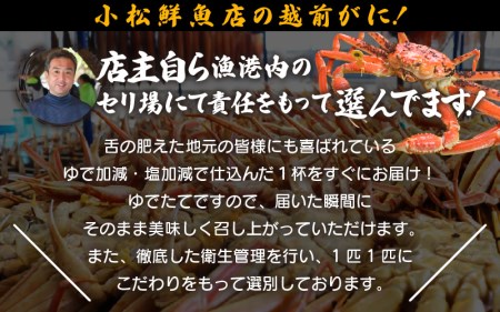 越前がに本場の越前町からお届け！足折れ越前がに浜茹で中サイズ×1杯（生で500～600g） [e23-x001_02] 福井県 雄 ズワイガニ ボイル 冷蔵 越前がに 越前かに 越前ガニ 越前カニ 越前蟹 かに カニ 蟹