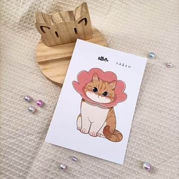 ME183-101_我紙在乎你百喵萌明信片_postcard