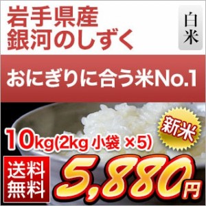 米 10kg 新米 (2kg×5袋)  岩手県産 銀河のしずく 〈デビューして5年連続特A評価〉令和 5年新米 送料無料 【即日