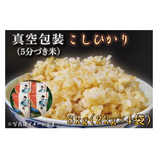 ふるさと納税 茨城県 行方市 CZ-10　真空包装　こしひかり８ｋｇ（２ｋｇ×４袋）