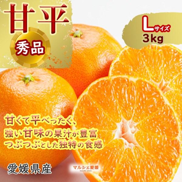 甘平みかん 秀品 L 約3kg 愛媛 贈答 化粧箱 フルーツ ギフト かんぺい みかん 箱買い 一部地域 送料無料