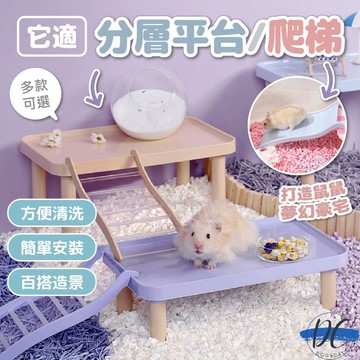 【DC寵物有發票】🐾它適 Tafit 分層平台&爬梯 多功能平台 倉鼠爬梯 倉鼠平台 糖果色平台 倉鼠造景用品 B097