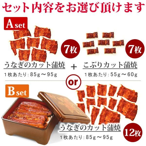 お歳暮 ギフト 2023 うなぎ 国産 プレゼント 土用の丑の日 蒲焼き うなぎ 誕生日 お祝い 蒲焼き ウナギ 鰻 男性 女性 選べる1キロ お年賀 御歳暮 御年賀 簡易箱