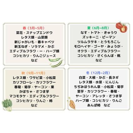 ふるさと納税 とれたて野菜と果物の彩り定期便Box 13〜18品目の豪華セット ※着日指定不可 ※沖縄・離島への配.. 福島県国見町