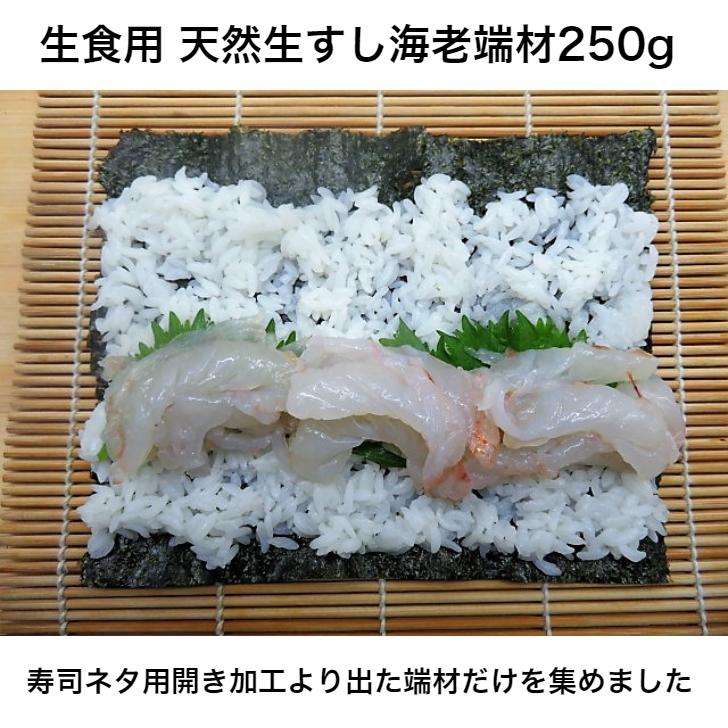 寿司 いろんな用途で使用 寿司ネタ 天然生海老端材 250g 業務用　生食用 すしねた えび 天然 刺身用 海鮮丼 手巻き寿司 寿司ネタ  ブラウン海老使用