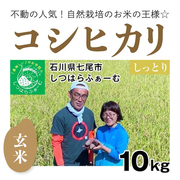 玄米10kg「自然栽培のコシヒカリ」(石川県七尾市)しつはらふぁーむ　自然栽培＠のと 無施肥 令和5年産