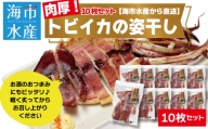 肉厚トビイカの姿干し　10枚セット