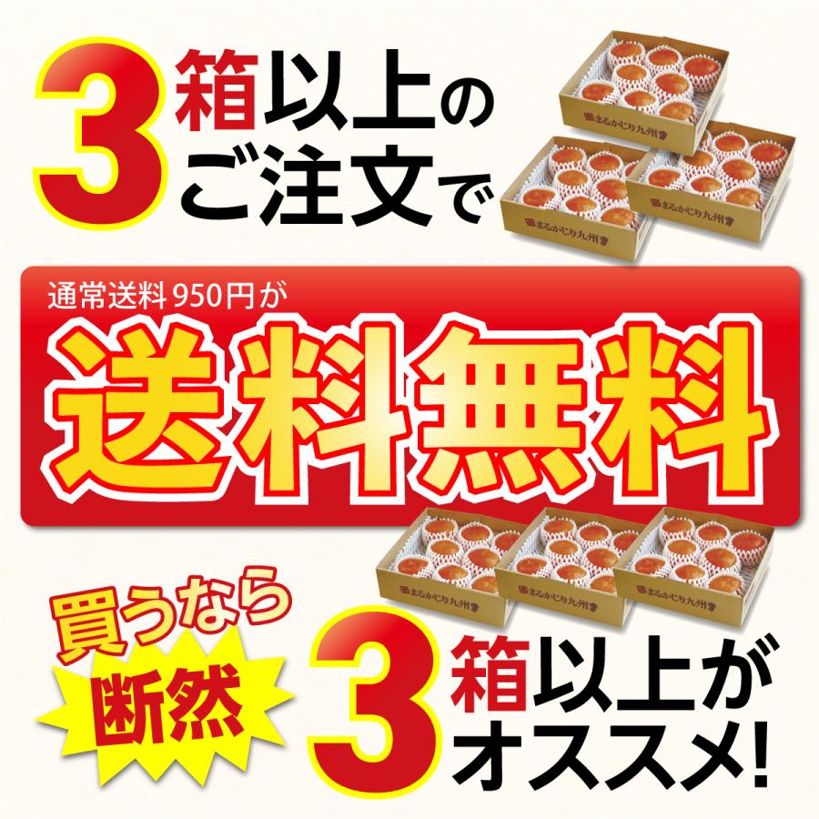 福岡特産 甘熟 “名人” 富有柿 1箱 約2kg 7〜10玉 冷蔵柿 福岡 産地直送 富有柿 秀品 甘い 柿 種あり 平均糖度17度以上