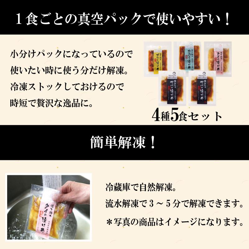 海鮮丼 漬け丼 高知  海鮮丼の具 4種 5袋 セット 漬け魚 詰め合わせ ギフト 海鮮 お茶漬け 国産 ごはんのお供 海鮮グルメ お祝い 内祝い 送料無料 お歳暮