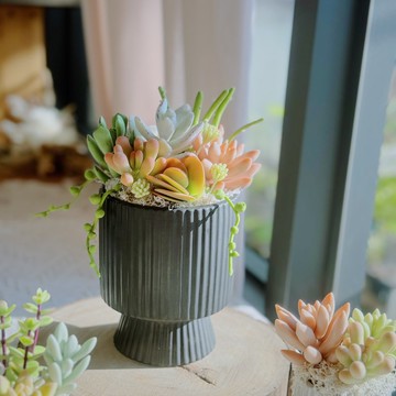 【日系禮物】多肉大花園(豎紋款-黑色).手作黏土多肉植物.附提袋