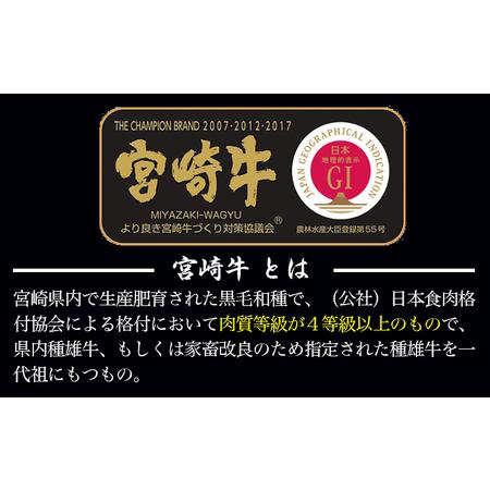 ふるさと納税 宮崎牛カタロースすき焼き600g　国産牛肉＜2.5-2＞N 宮崎県西都市