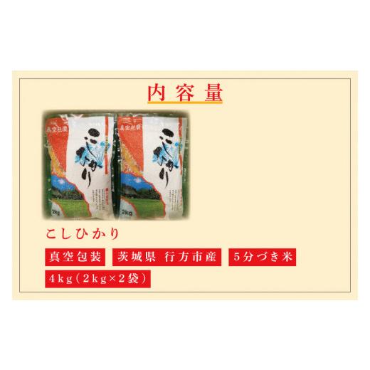 ふるさと納税 茨城県 行方市 CZ-6　真空包装　こしひかり４ｋｇ（２ｋｇ×２袋）