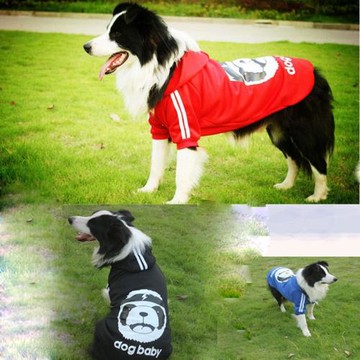 大狗衣服秋季新款  大型犬金毛邊牧拉布拉多薩摩耶中華田園犬外套