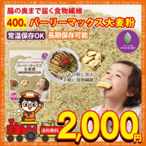 スーパー大麦 バーリーマックス 大麦 粉 バーリーマックス粉 スーパー大麦粉 粉末 400g 食物繊維 大麦 小麦粉 粉物 糖質カット 糖質オフ