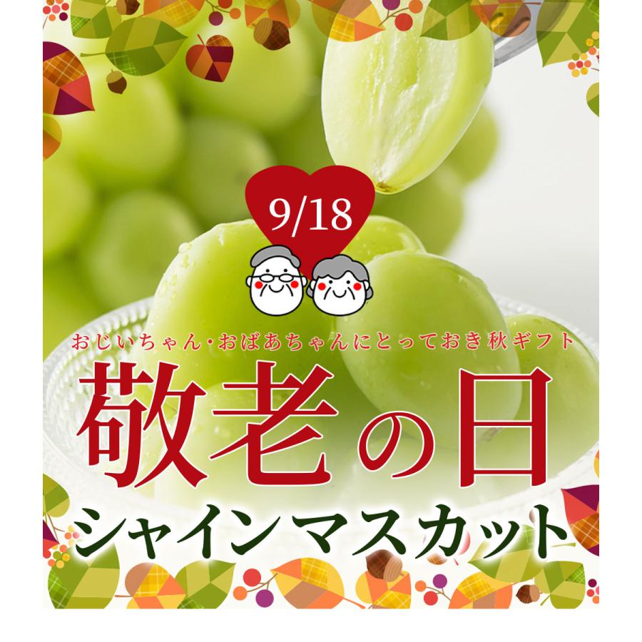 ぶどう 秀品 シャインマスカット 1房 (約600g前後) 山形県産 ギフト 贈答 プレゼント 化粧箱 贈り物 大粒 産地直送 (遠方送料加算)