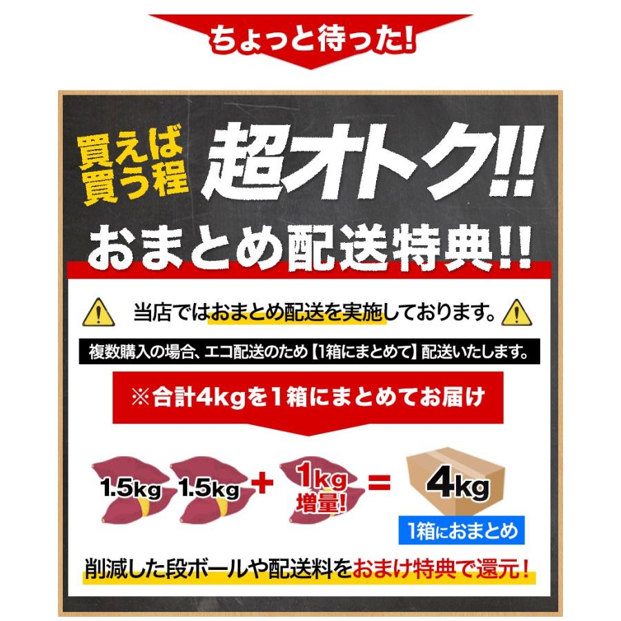 販売解禁 さつまいも 紅はるか べにはるか 1.5kg 送料無料 芋 熊本県産 スイーツ お取り寄せ 12月上旬-12月末頃より発送予定