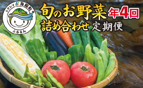 阿波の国海陽町 旬のお野菜詰め合わせセット１０‐１３品×４回 野菜 定期便 野菜定期便 年4回 徳島県 海陽町産 野菜セット 季節の野菜 詰め合わせ おまかせ