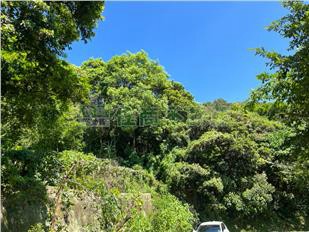 G31樹林農牧地｜新北市樹林區三角埔段