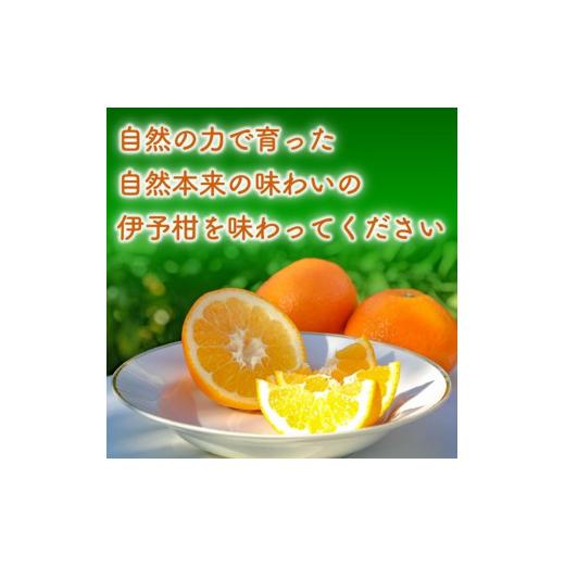 ふるさと納税 愛媛県 松山市  みかん いよかん 5kg 愛媛県産 秀品 先行予約 いよかん 伊予柑 家庭用 柑橘 みかん 秀品 愛媛県 松山…