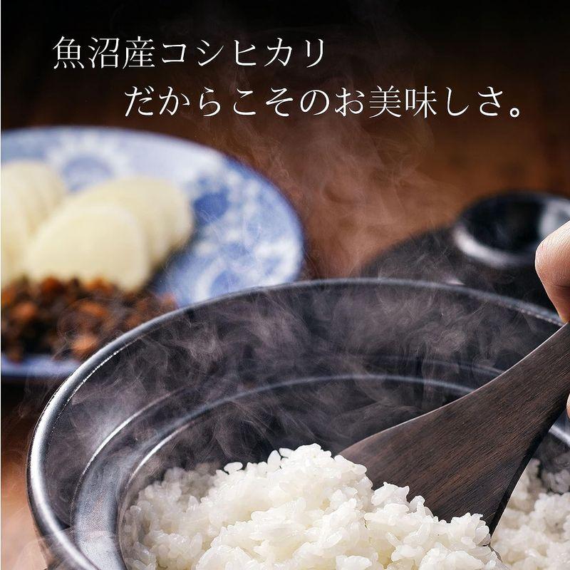精米 お米アドバイザー厳選米 魚沼産コシヒカリ 特別栽培米 5kg